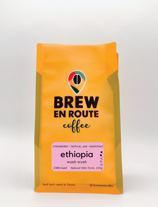 Ethiopia Wush Wush 96 hours dry fermentation | Coffee Beans