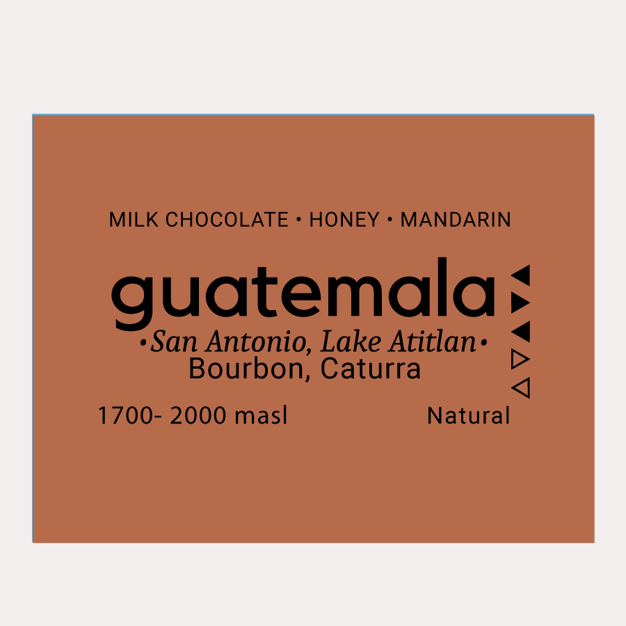 Guatemala| Coffee Beans